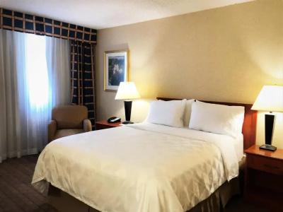 Holiday Inn Montreal, An Ihg - 54