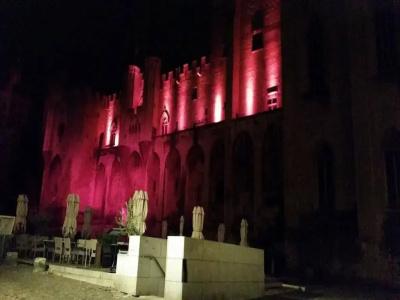 Hôtel du Palais des Papes - 0