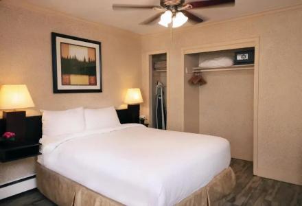 Divya Sutra Suites on Robson Downtown - 102