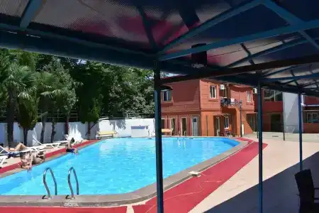 Nakashidze's - 10