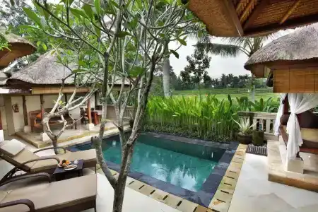 The Ubud Village Resort & Spa - 5