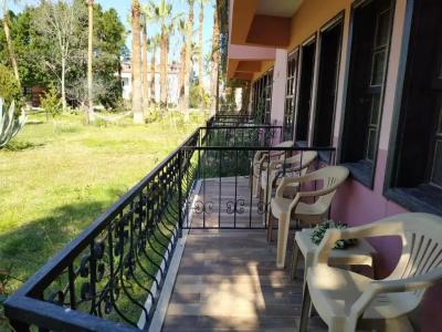 Palme Dalyan - 31