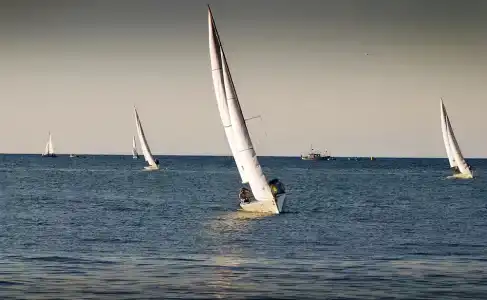 Diána - 19