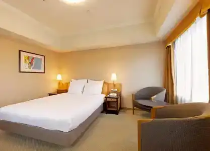 Ana Crowne Plaza Toyama, An Ihg - 43