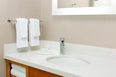SpringHill Suites by Marriott San Diego Mission Valley - 32