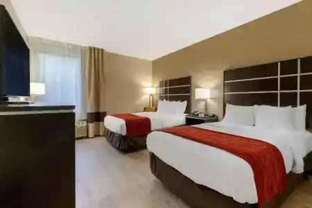 Comfort Inn - 48