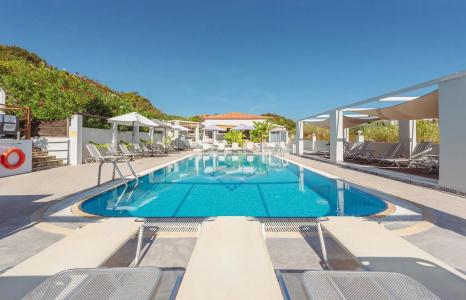 Ampelia Studios - 13