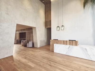 Olea All Suite - 14