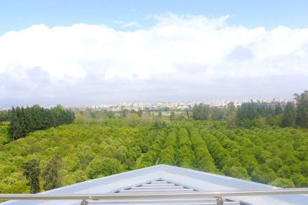 Melda Palace - 12