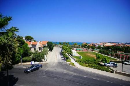 Urla Zeytin - 22