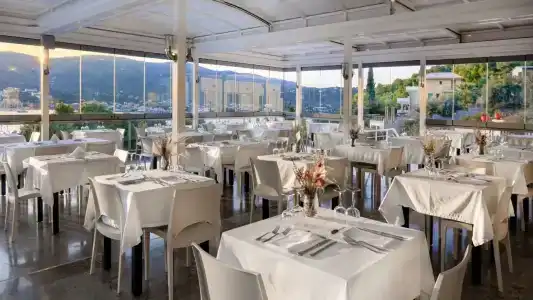 Punta - 16