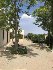 Il Casolare Degli Ulivi - 17