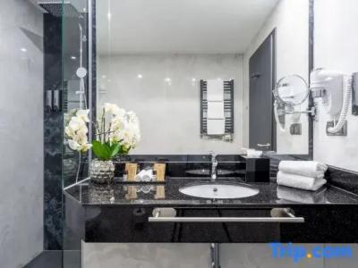 Plaza Schwerin; Sure Collection By Best Western - 93