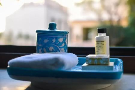 Royal Heritage Haveli - 158