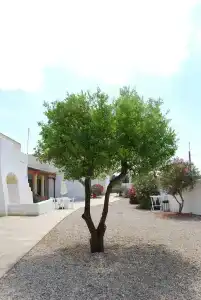 Terra di Leuca - 39