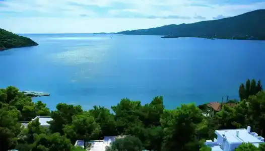 Panorama - 49