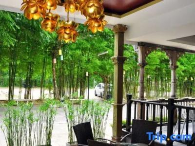 Chiangmai S.P. - 29
