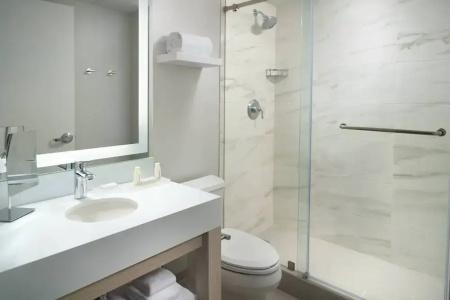 Courtyard Miami Coconut Grove - 65