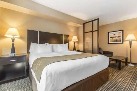 Comfort Suites Downtown - 39
