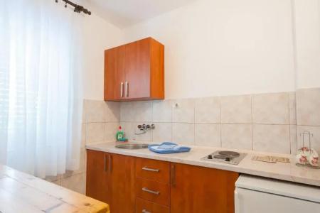 Vila Mitrovic - 51