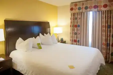 Hilton Garden Inn Airport/Medical Center - 57