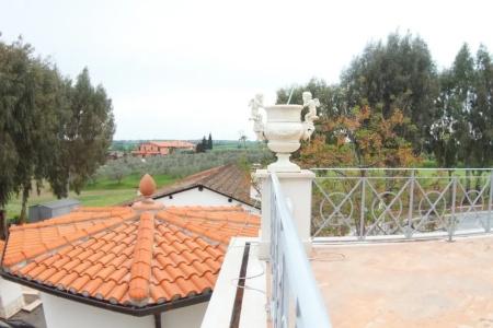 Strampelli - 36