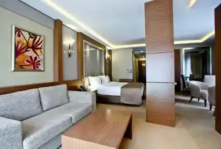 Holiday Inn Ankara-Kavaklidere, An Ihg - 62