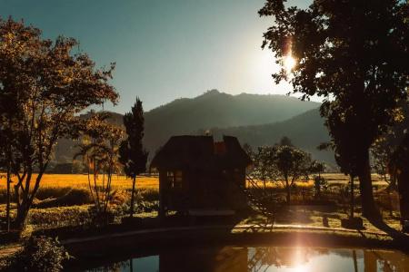 The Countryside - 43