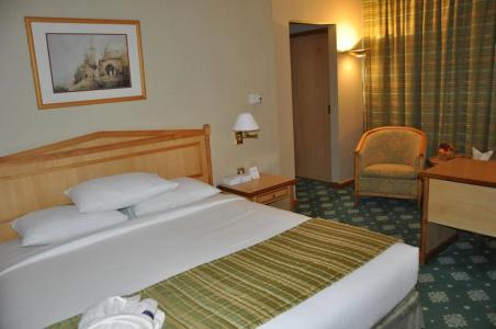 Grand Continental Flamingo - 4