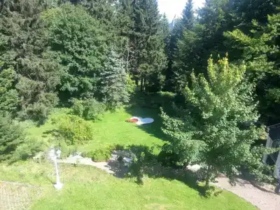 Pension Haus am Waldesrand - 10