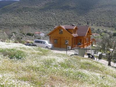 Natureland Efes Pension - 37