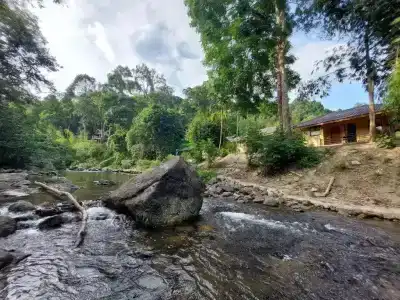 Khaosok Rainforest Resort - 12