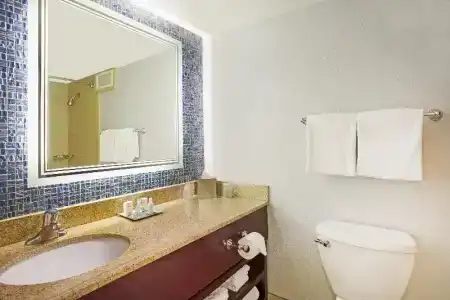 Wyndham Garden Lake Buena Vista Disney Springs® Resort Area - 51