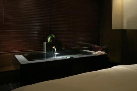 Hyatt Regency Hakone Resort and Spa - 14