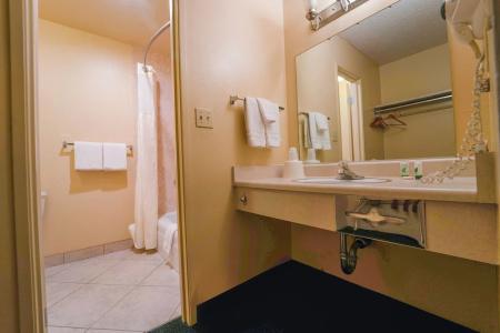 Royal Plaza Inn - 118