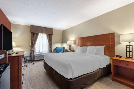 Comfort Inn Civic Center - 36