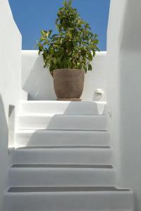 Lilly Residence-Sea View Suites, Adults Only - 62