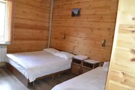 Метелица - 4