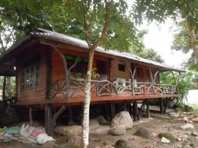 Lunda Orchid - 72