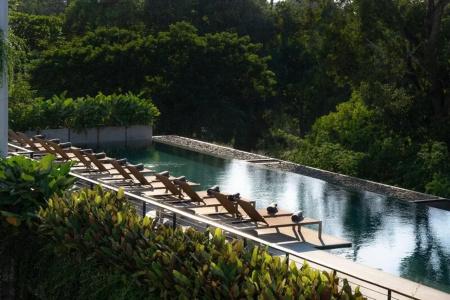 Treeline Urban Resort - 17
