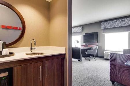 Hampton Inn & Suites by Hilton Nashville North Skyline - 42