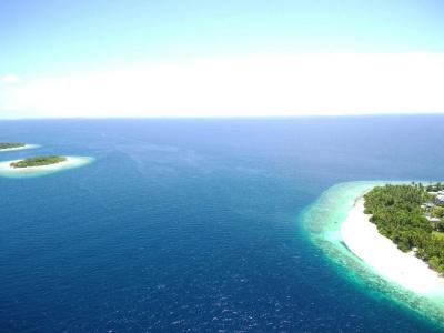 Hanifaru stay - 1