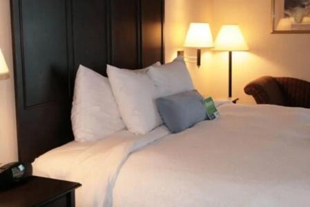 Hampton Inn Toronto-Mississauga - 1