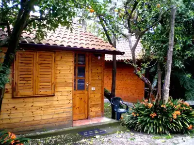 Residence Villaggio Verde - 33