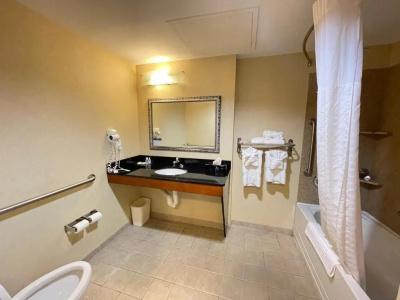Comfort Suites North - 94