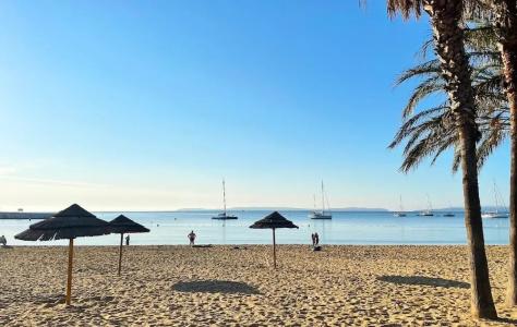 Le Rabelais - 19