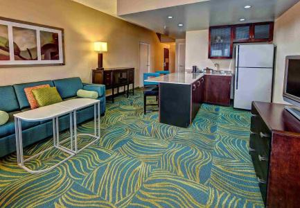 SpringHill Suites Old Dominion University - 18