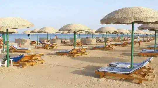 Gorgonia Beach - 8