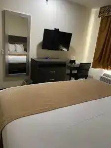 Bogart - 29