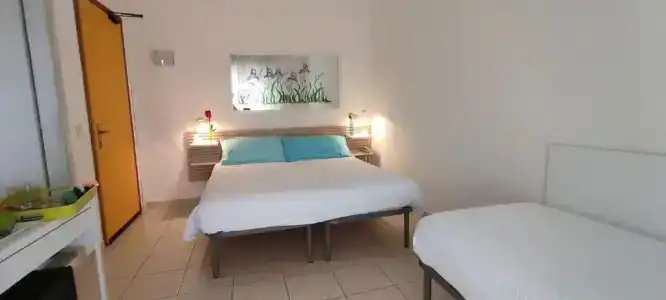 Le Petit - 37